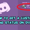 How to get custom discord status